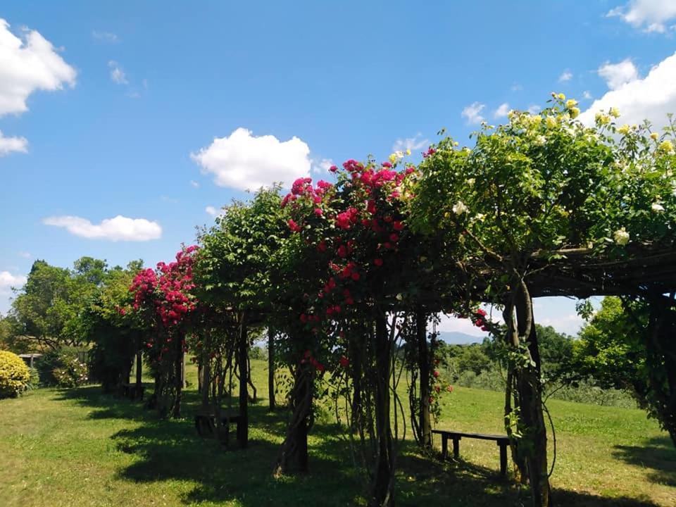 Locanda Rosati ออร์เวียโต ภายนอก รูปภาพ