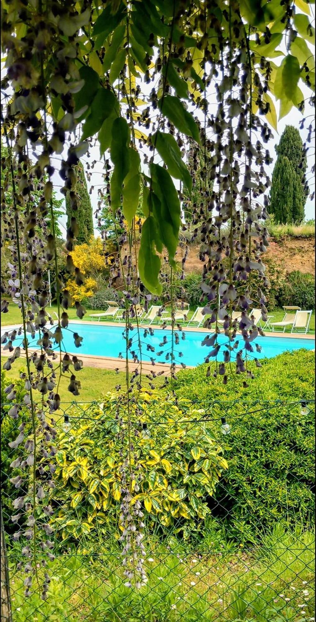 Locanda Rosati ออร์เวียโต ภายนอก รูปภาพ